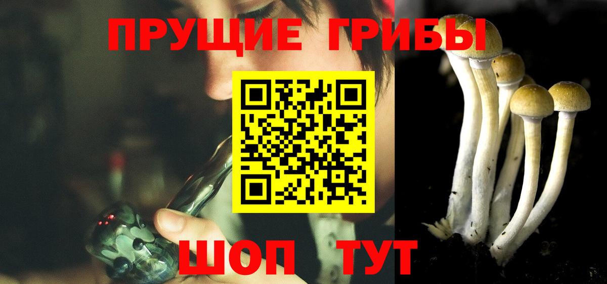 Псилоцибиновые грибы ЛСД Павловский Посад